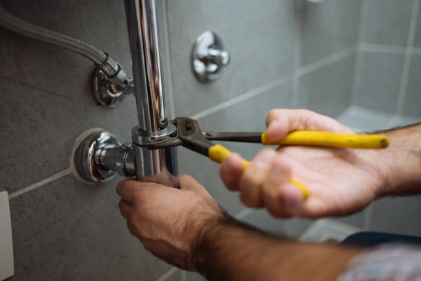 Best Drain Cleaning Services  in Ferndale, MI